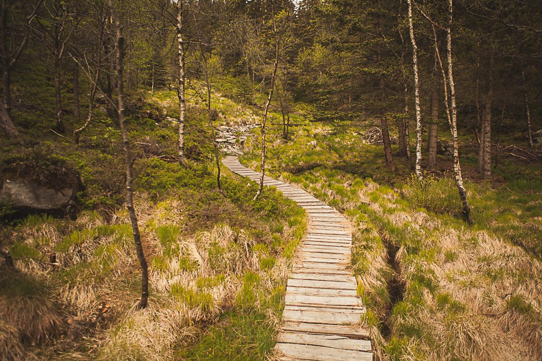 Norway Travel Photography 32