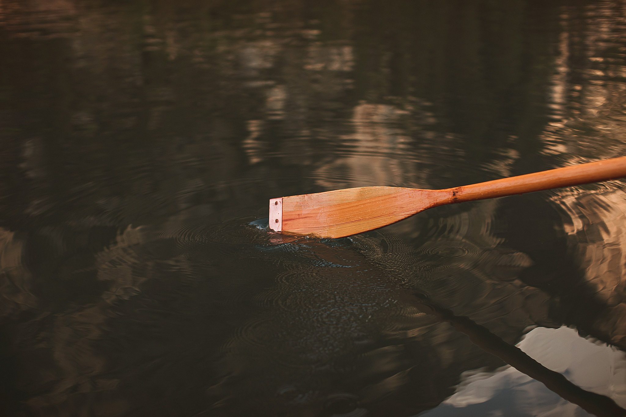 Boat Paddle in water